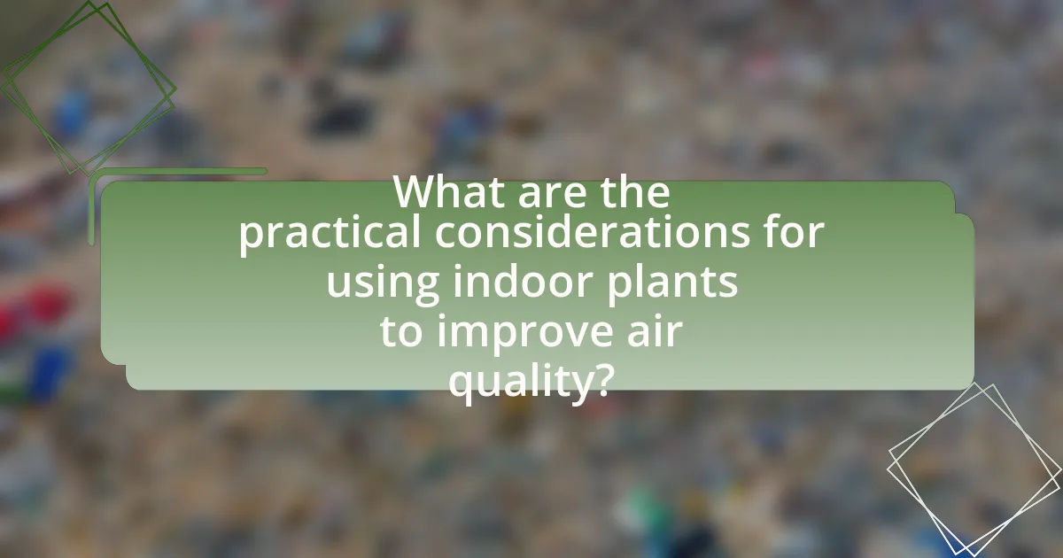 What are the practical considerations for using indoor plants to improve air quality?